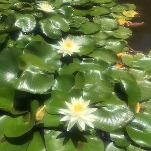 Meet your Posher, Alejandra